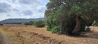 Onderweg naar Tarifa