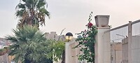 Alcazaba op afstand zien liggen