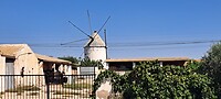 Molen