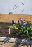 Ander soort flamingo