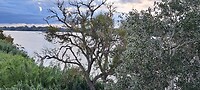 De Ebro