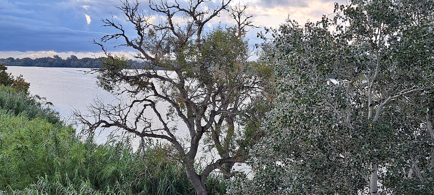 De Ebro