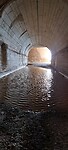 Met onze voeten door het water
