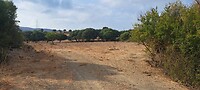 Castellar de la Frontera
