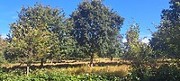 Natuurgebied Oeversee