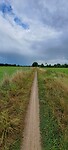 Weg Zonder Naam