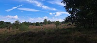 Veluwe