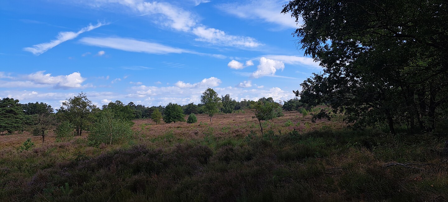 Veluwe