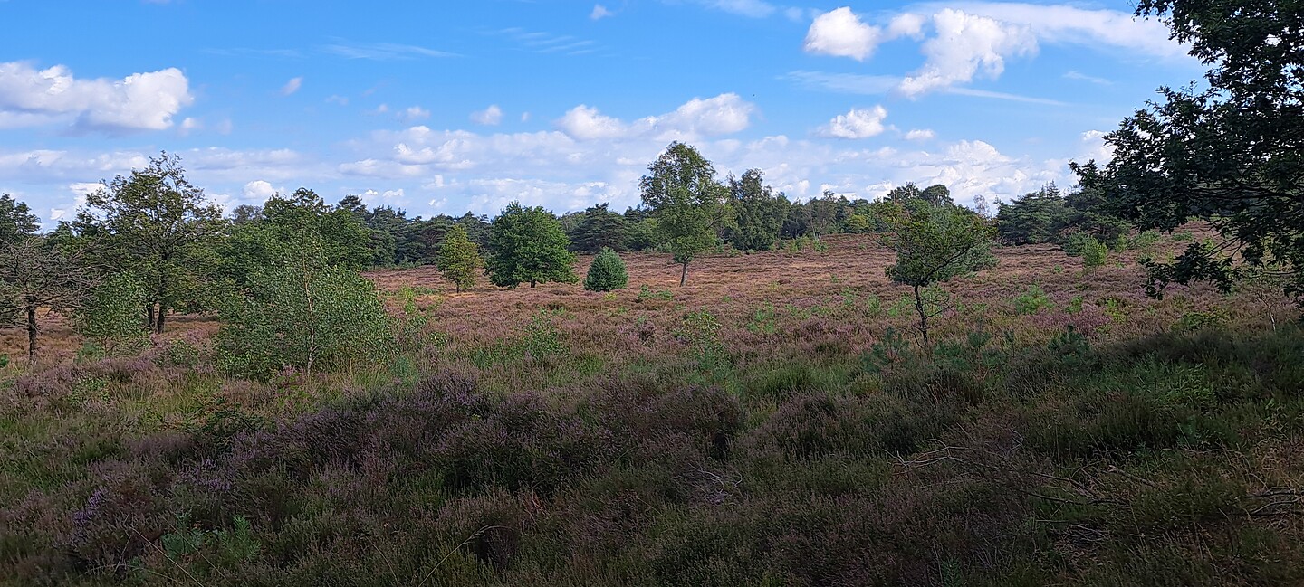 Ermelo