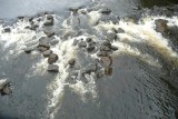 Woeste Rivier Woeste rivier | Foto | Fietsvakanties van Ben en Monique