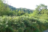 Sheen Valley