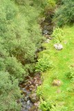 In the Knockmealdown Mountains