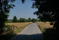 schuilen in de schaduw