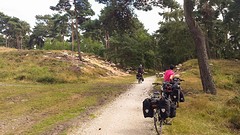 Natuurgebied de Hamert