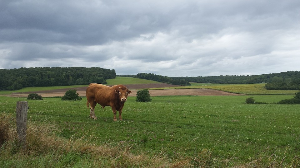Whow...Wat een mooie.