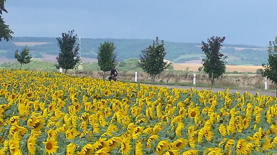 Eenzame fietser..