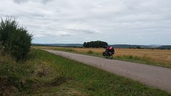 Plassen....