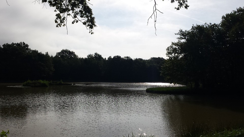 20160830_093210