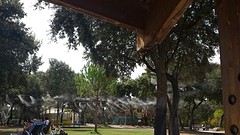 20160903_152724