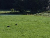 20170822_094619