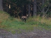 IMG-20170829-WA0002