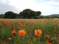 20180610_155315