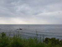 20180610_172134