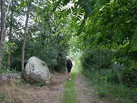 20180617_205648
