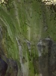 20180618_150911