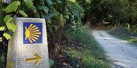 Camino
