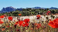 IMG_20190530_163955_561