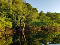 20170814_171908