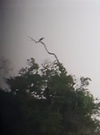 20170814_180414