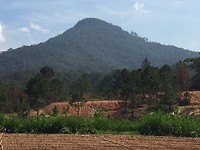 IMG_4563