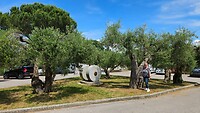 20250528_140600