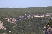 IMG_1281