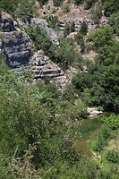 IMG_1293