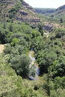 IMG_1292