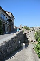 IMG_1300