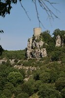 IMG_1299