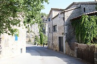 IMG_1295
