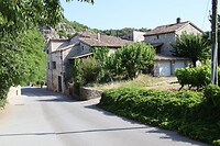 IMG_1294