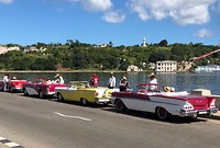 Cars, cars, cars 4
