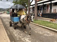 Local Cuban transportation