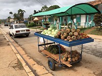 Mobile food market