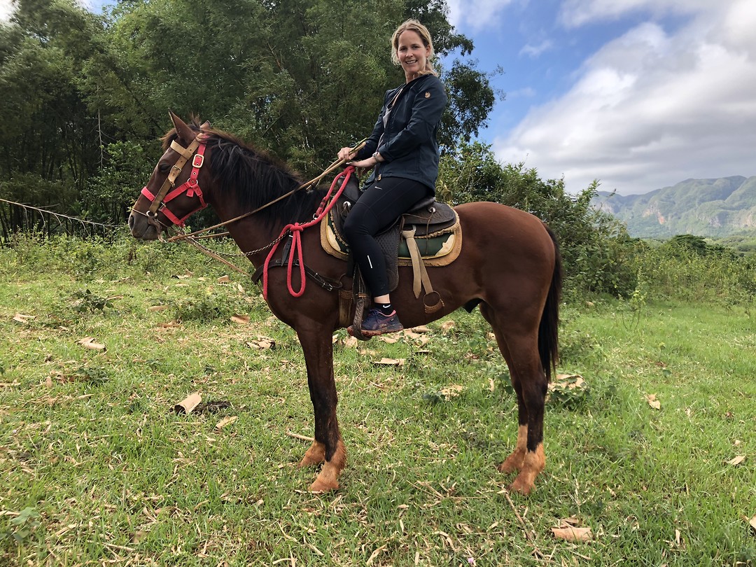 Paulien and Ranchero