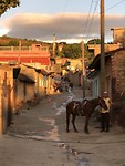 Daily Cuban life