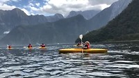 Kayaking at Milford Sound