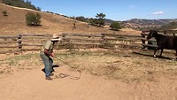Natural Horsemanship by Tim Skerreth