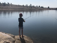 Fishing for trout